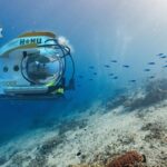 Renowned Oceanographer Sylvia Earle Issues Urgent Warning on Ocean Health Renowned Oceanographer Sylvia Earle Issues Urgent Warning on Ocean Health