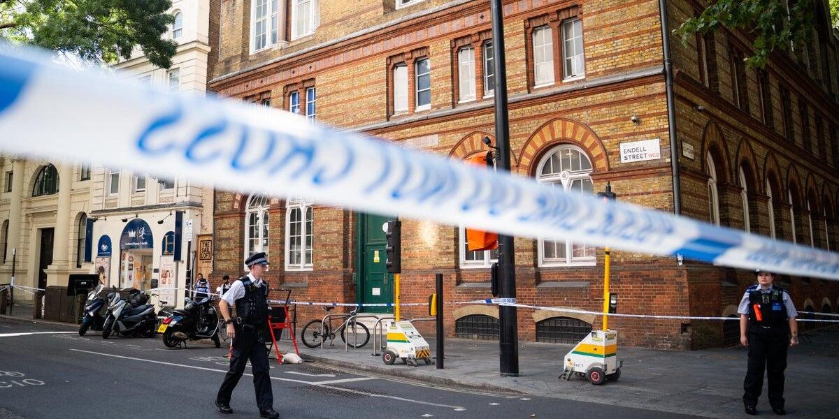 Stella Gollovena Charged in Covent Garden Stabbing Attack Stella Gollovena Charged in Covent Garden Stabbing Attack