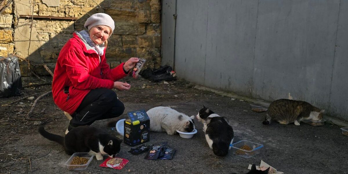 Elderly Odesa Women Brave Shelling to Care for Stray Animals Elderly Odesa Women Brave Shelling to Care for Stray Animals