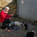 Elderly Odesa Women Brave Shelling to Care for Stray Animals