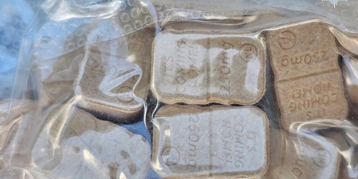 Police Discover Ecstasy and Ketamine Buried at Creamfields Festival Site Police Discover Ecstasy and Ketamine Buried at Creamfields Festival Site