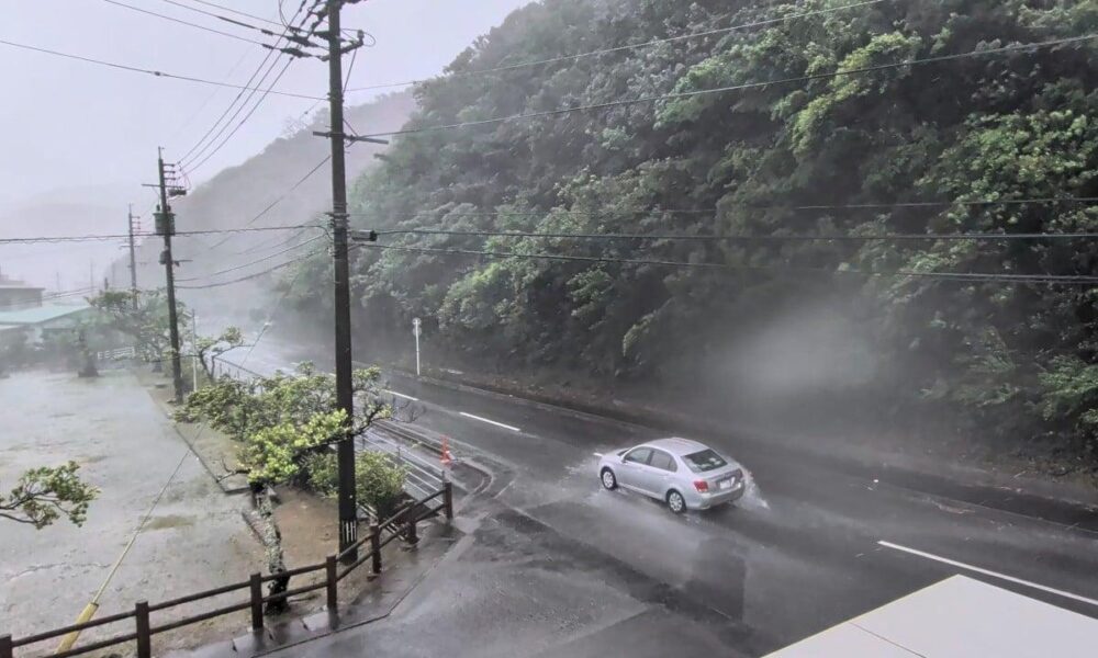 Typhoon Dolphin Strands Hong Kong Tourists in Okinawa Facing Supply Shortages and Power Cuts Typhoon Dolphin Strands Hong Kong Tourists in Okinawa Facing Supply Shortages and Power Cuts