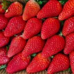 India Aims to Become a Major Strawberry Exporter India Aims to Become a Major Strawberry Exporter