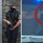 Daniel Kinahan: Suspect Extradited to Ireland from Dubai Daniel Kinahan: Suspect Extradited to Ireland from Dubai