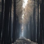 France Wildfire Crisis: 200,000 Return Home as New Blazes Ignite France Wildfire Crisis: 200,000 Return Home as New Blazes Ignite