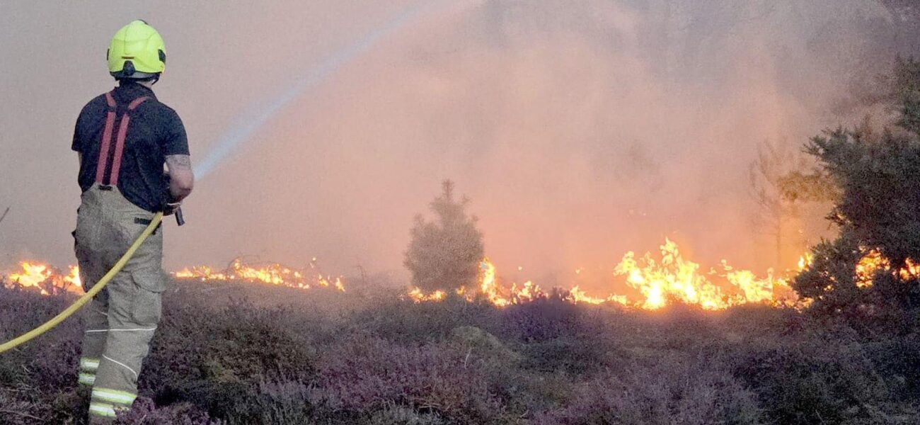 Suffolk Wildfire: Emergency Declared as Firefighters Battle Major Blaze