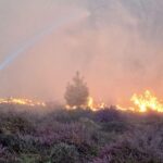 Suffolk Wildfire: Emergency Declared as Firefighters Battle Major Blaze Suffolk Wildfire: Emergency Declared as Firefighters Battle Major Blaze