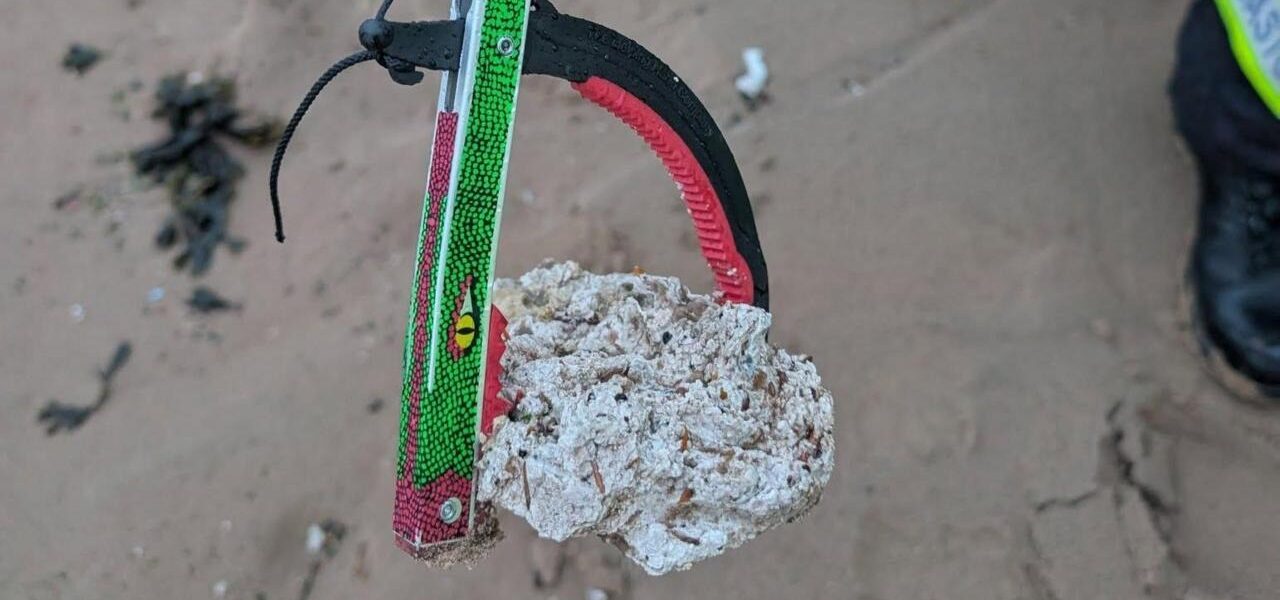 Public Alert: Suspected Palm Oil on Beach Poses Risk to Dogs Public Alert: Suspected Palm Oil on Beach Poses Risk to Dogs