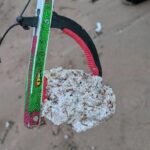 Public Alert: Suspected Palm Oil on Beach Poses Risk to Dogs Public Alert: Suspected Palm Oil on Beach Poses Risk to Dogs