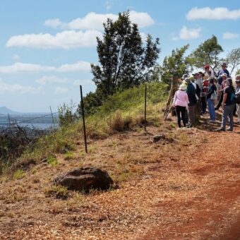 National Park Service Opens Honouliuli Internment Camp to Public National Park Service Opens Honouliuli Internment Camp to Public