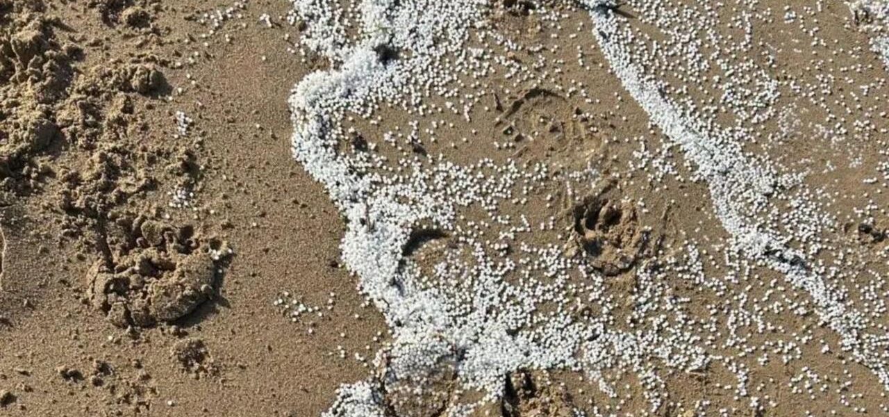 Volunteers Demand National Disaster Declaration Amid Plastic Spill Crisis