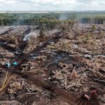 Firefighters Endure 11-Day Battle Against Challenging Holme Fen Blaze Firefighters Endure 11-Day Battle Against Challenging Holme Fen Blaze