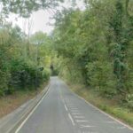 Man Dies After Dog Bite in Wakefield, Authorities Investigate
