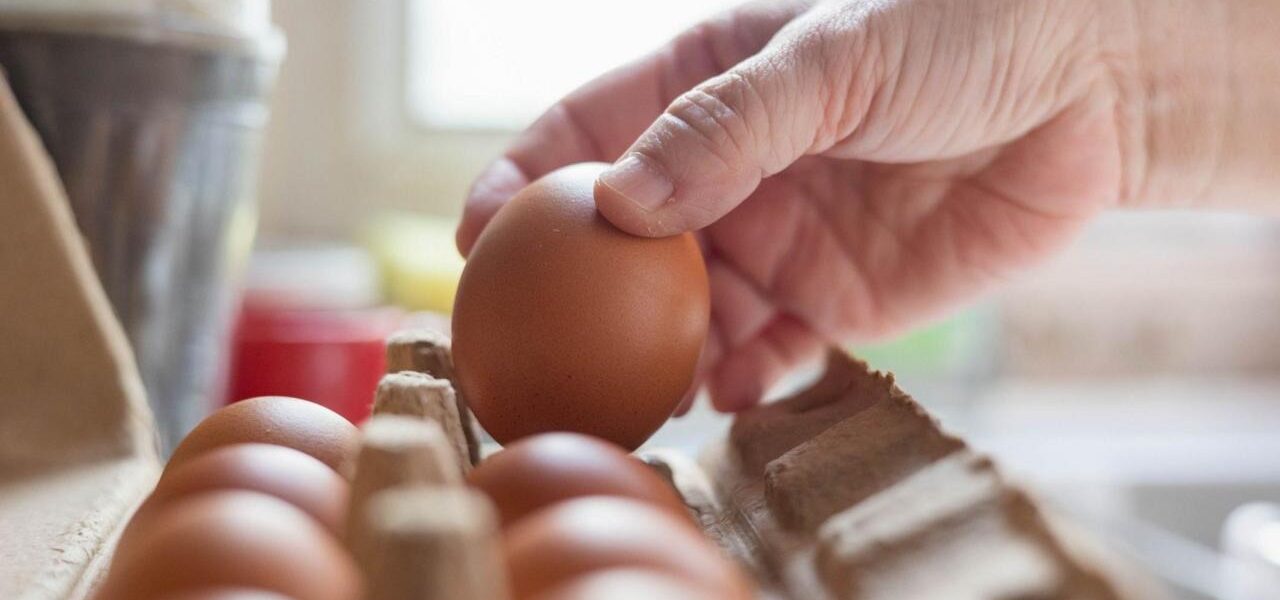 UK Faces Salmonella Outbreak Linked to Imported Eggs UK Faces Salmonella Outbreak Linked to Imported Eggs