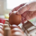 UK Faces Salmonella Outbreak Linked to Imported Eggs