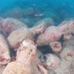 Ancient Roman Shipwreck, Over 2,000 Years Old, Discovered Off Sicily Coast Ancient Roman Shipwreck, Over 2,000 Years Old, Discovered Off Sicily Coast