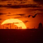 Rare Celestial Event: Solar Eclipse and Meteor Shower Captivate Stargazers