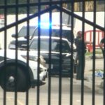 Multiple Suspects Detained Following Fatal Shooting Outside US University Dorms Multiple Suspects Detained Following Fatal Shooting Outside US University Dorms