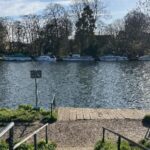 Toxic Algae Forces Closure of London’s Only Thames Bathing Spot Toxic Algae Forces Closure of London’s Only Thames Bathing Spot