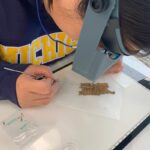 Nine Scholars Attend University of Michigan Seminar on Papyrus Manuscript Conservation Nine Scholars Attend University of Michigan Seminar on Papyrus Manuscript Conservation
