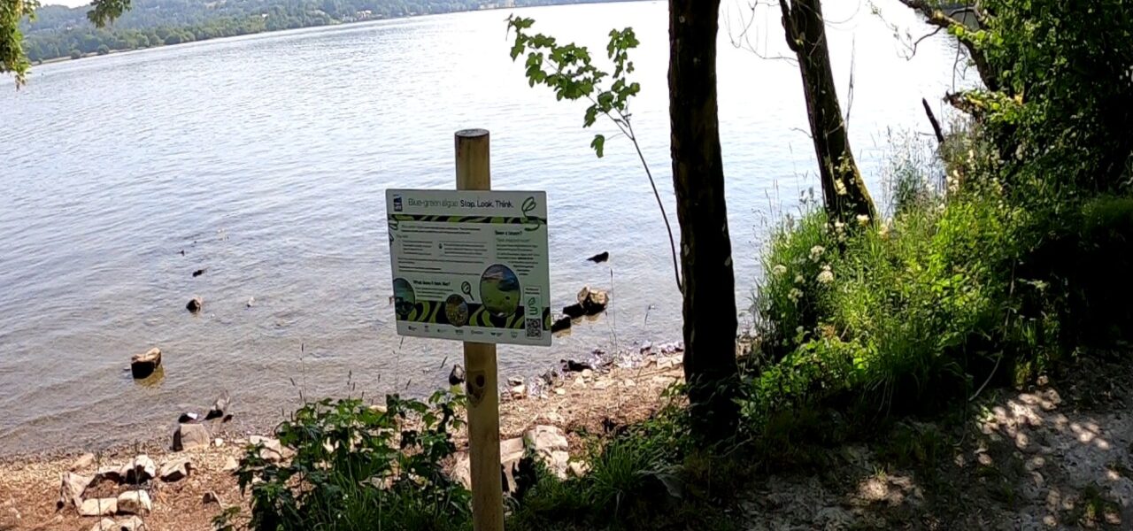 Windermere and Cumbrian Lakes Issue Algae Poisoning Warnings Windermere and Cumbrian Lakes Issue Algae Poisoning Warnings