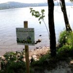 Windermere and Cumbrian Lakes Issue Algae Poisoning Warnings