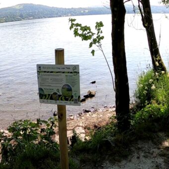 Windermere and Cumbrian Lakes Issue Algae Poisoning Warnings Windermere and Cumbrian Lakes Issue Algae Poisoning Warnings