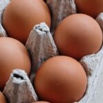 UK Salmonella Outbreak: One Dead, Hundreds Fall Ill UK Salmonella Outbreak: One Dead, Hundreds Fall Ill