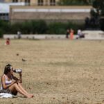 Health Watchdog Warns: Common Painkillers Increase Sunburn Risk Health Watchdog Warns: Common Painkillers Increase Sunburn Risk