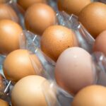 UK Salmonella Outbreak: Regions Hit Hardest by Rising Cases UK Salmonella Outbreak: Regions Hit Hardest by Rising Cases
