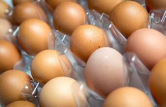 UK Salmonella Outbreak: Regions Hit Hardest by Rising Cases