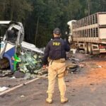 Over 20 Killed in Brazil Bus and Lorry Head-on Collision Over 20 Killed in Brazil Bus and Lorry Head-on Collision