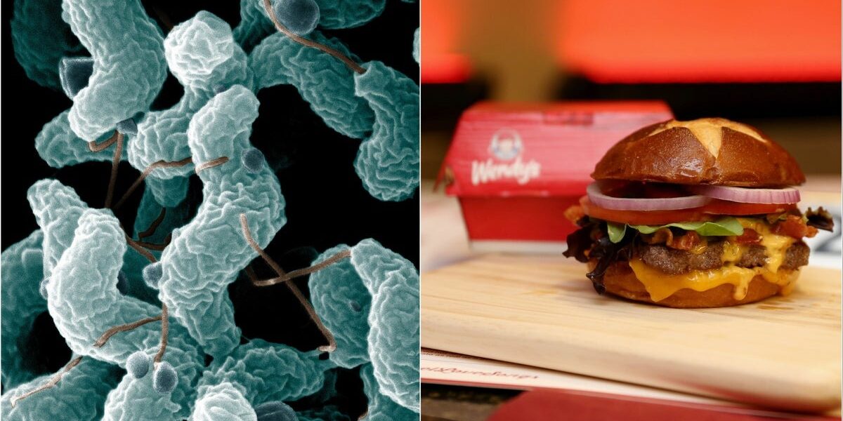 Chicago Woman Sues Wendy’s Over Hospitalization from Contaminated Cheeseburger Chicago Woman Sues Wendy’s Over Hospitalization from Contaminated Cheeseburger