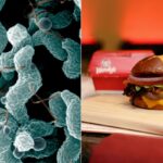 Chicago Woman Sues Wendy’s Over Hospitalization from Contaminated Cheeseburger Chicago Woman Sues Wendy’s Over Hospitalization from Contaminated Cheeseburger