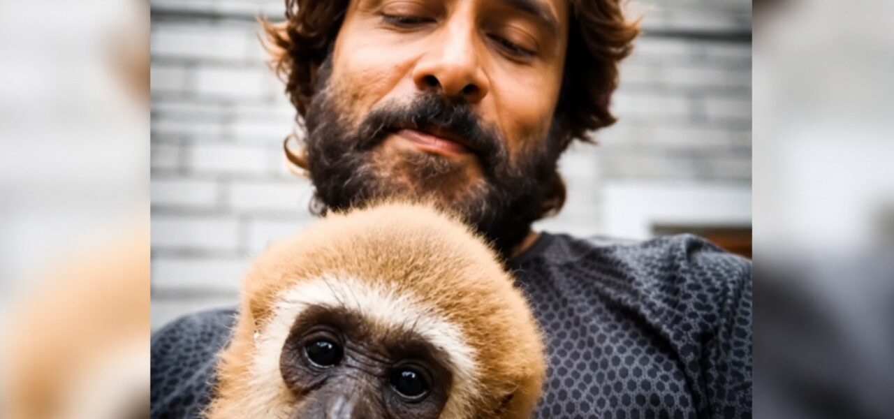 Investigation Launched After Tamil Star Vikram’s Video with Endangered Gibbon Investigation Launched After Tamil Star Vikram’s Video with Endangered Gibbon
