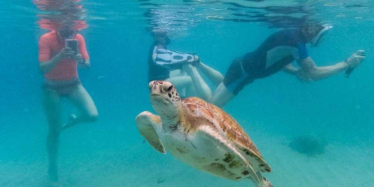 Record-Breaking Ocean Temperatures Signal Dire Climate Impact Record-Breaking Ocean Temperatures Signal Dire Climate Impact