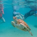 Record-Breaking Ocean Temperatures Signal Dire Climate Impact Record-Breaking Ocean Temperatures Signal Dire Climate Impact