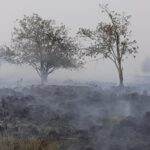 Hundreds Evacuated as Belgium Confronts Historic Wildfire