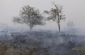 Hundreds Evacuated as Belgium Confronts Historic Wildfire