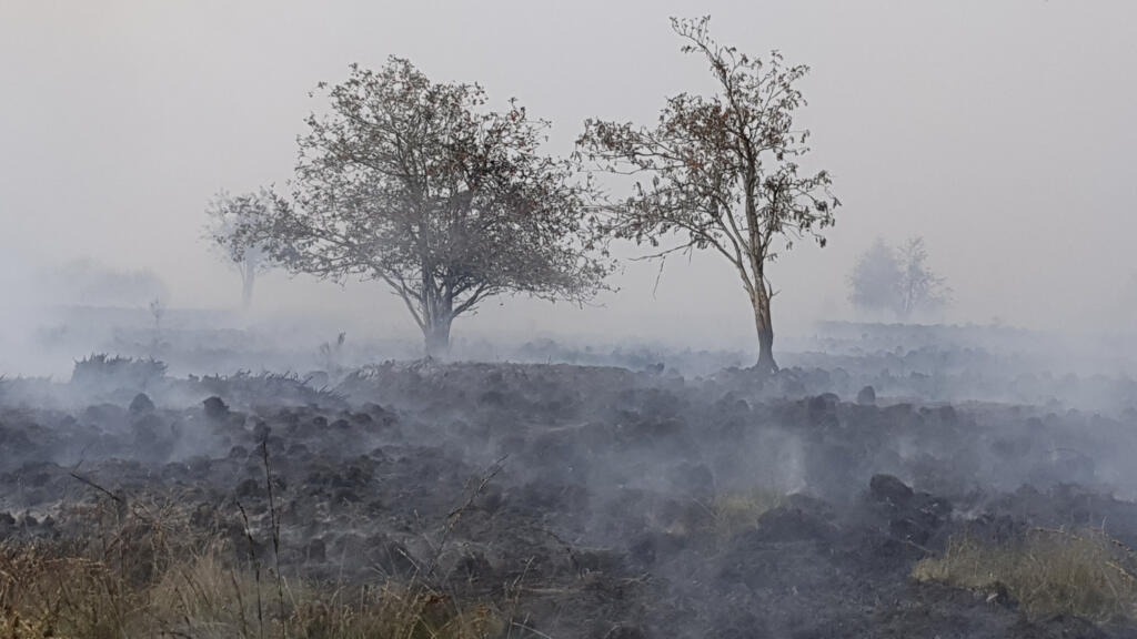Hundreds Evacuated as Belgium Confronts Historic Wildfire Hundreds Evacuated as Belgium Confronts Historic Wildfire