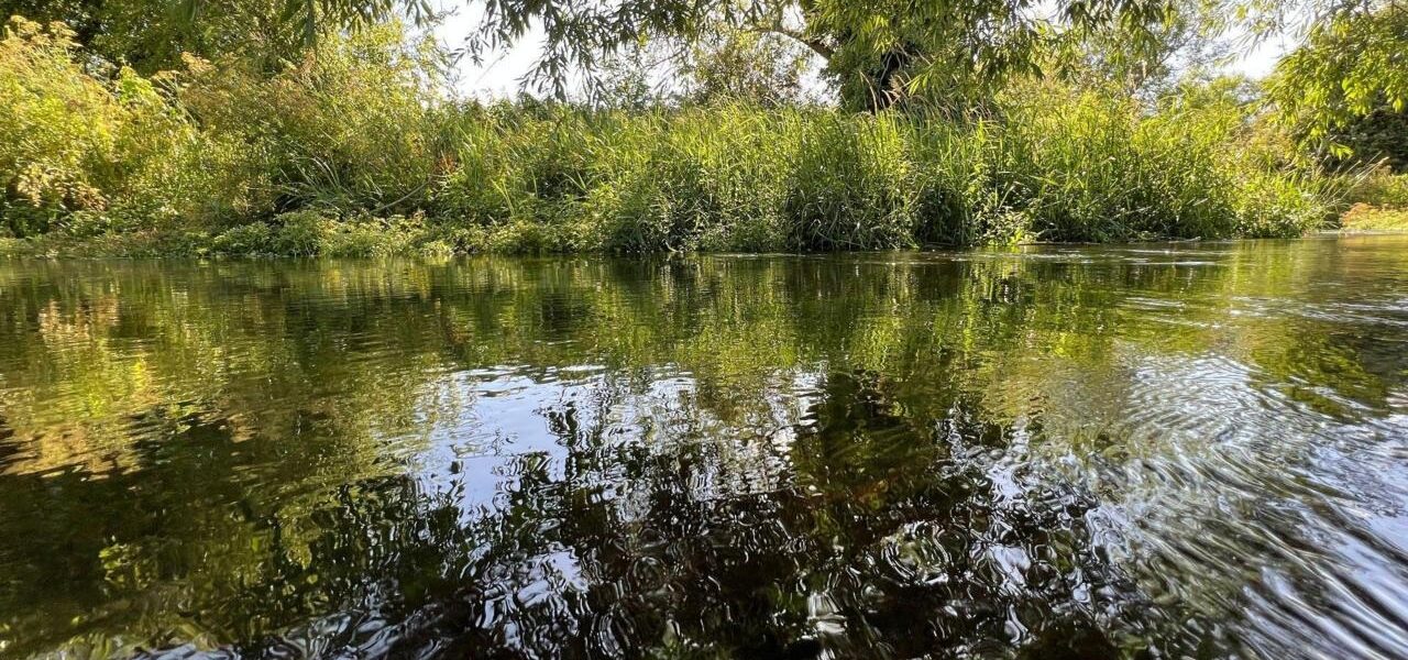 Thames Water Chalk Stream Receives Poor Quality Rating Amid Investment Claims Thames Water Chalk Stream Receives Poor Quality Rating Amid Investment Claims
