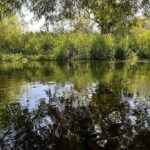 Thames Water Chalk Stream Receives Poor Quality Rating Amid Investment Claims Thames Water Chalk Stream Receives Poor Quality Rating Amid Investment Claims