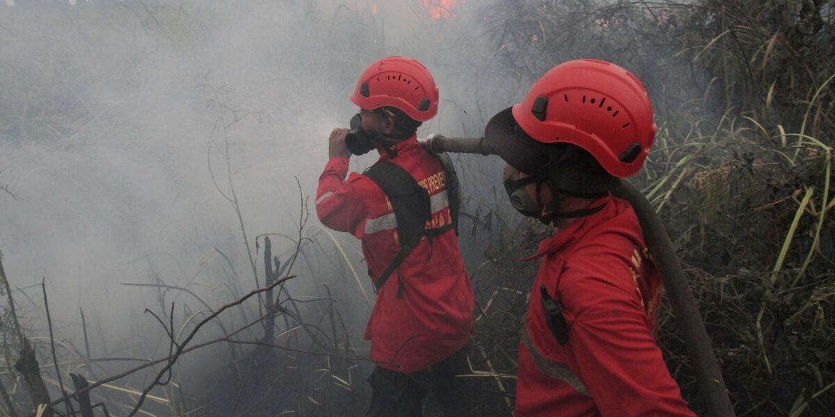 Indonesia’s South Sumatra Province Holds Mass Rain Prayers Amid Wildfire Crisis
