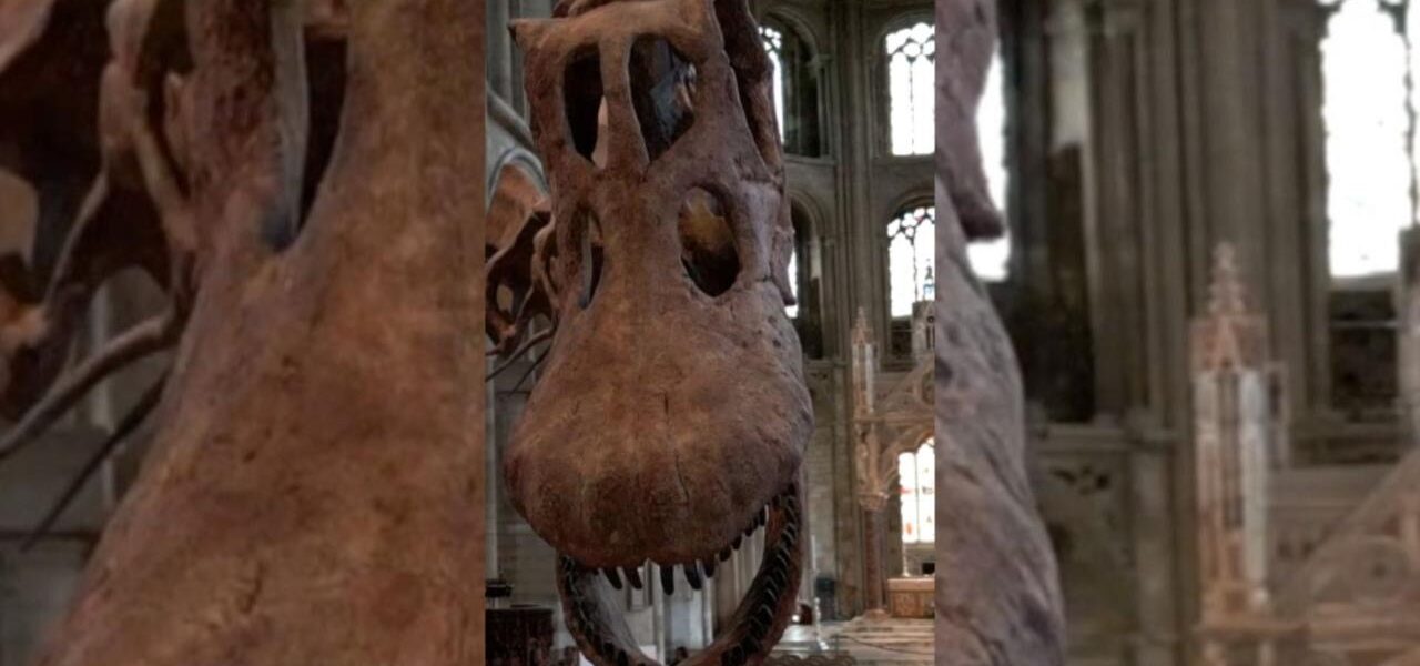 Antarctica’s First Dinosaur Fossil Discovered by Argentinian Geologist Antarctica’s First Dinosaur Fossil Discovered by Argentinian Geologist