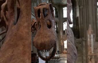 Antarctica’s First Dinosaur Fossil Discovered by Argentinian Geologist