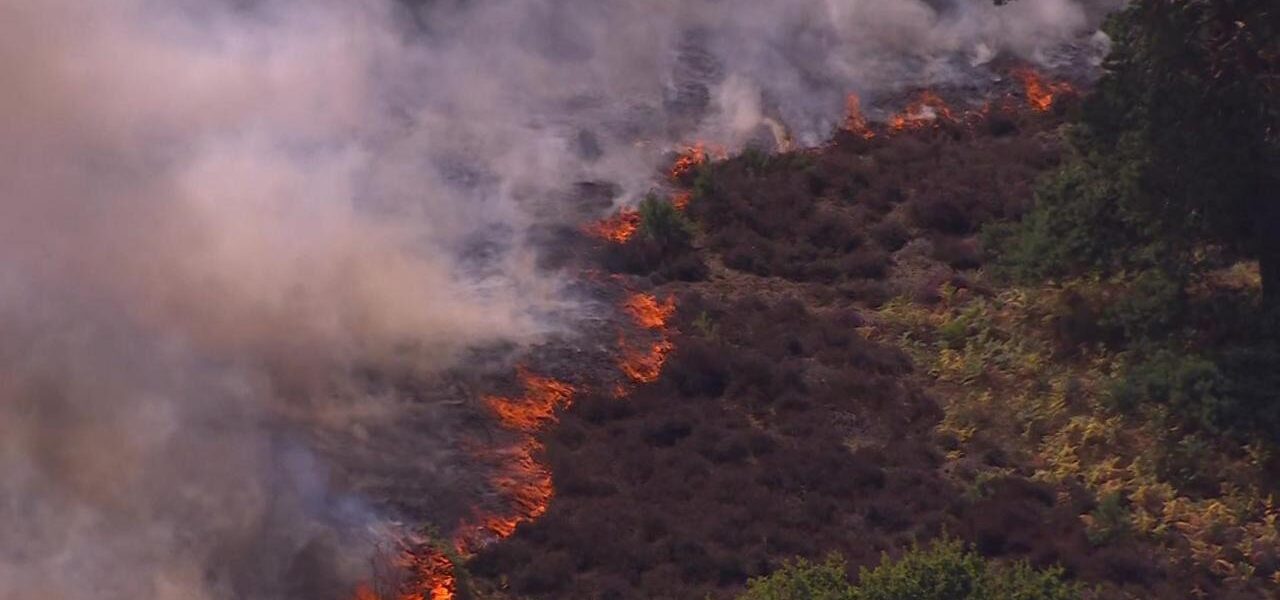 Suffolk Wildfire: Aerial Footage Captures Devastation as Blaze Spreads Rapidly Suffolk Wildfire: Aerial Footage Captures Devastation as Blaze Spreads Rapidly