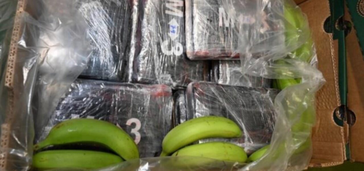 £232 Million Cocaine Haul Seized in Banana Shipment; Nine Arrested £232 Million Cocaine Haul Seized in Banana Shipment; Nine Arrested