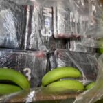 £232 Million Cocaine Haul Seized in Banana Shipment; Nine Arrested £232 Million Cocaine Haul Seized in Banana Shipment; Nine Arrested