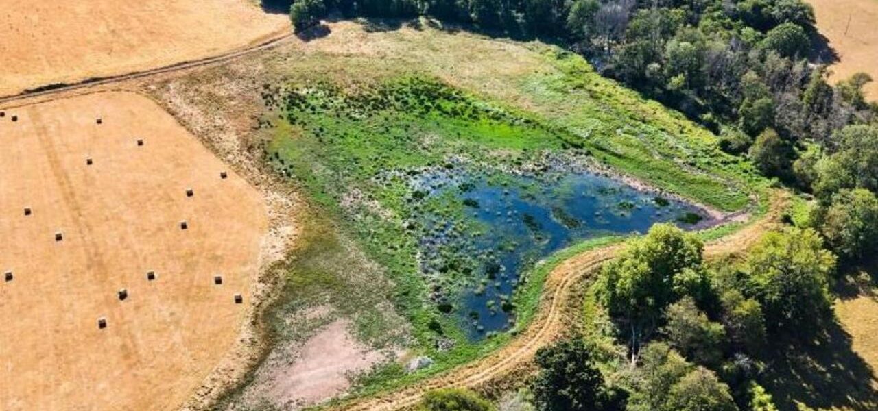 Scientific Battle Against Extinctions Intensifies Amid Record Heatwaves Scientific Battle Against Extinctions Intensifies Amid Record Heatwaves