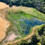 Scientific Battle Against Extinctions Intensifies Amid Record Heatwaves Scientific Battle Against Extinctions Intensifies Amid Record Heatwaves